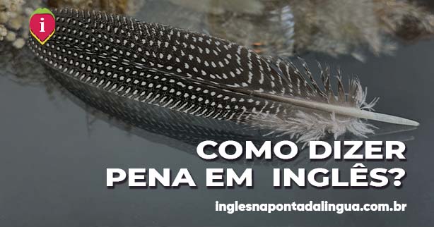 PENA em inglês