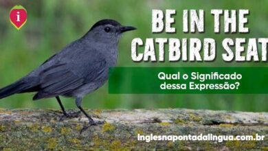BE IN THE CATBIRD SEAT | significado
