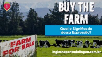 BUY THE FARM | significado