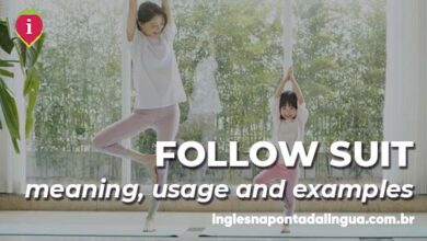 FOLLOW SUIT | meaning