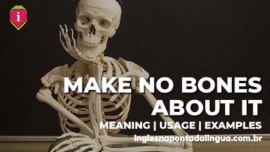 MAKE NO BONES ABOUT IT | meaning