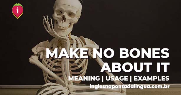 MAKE NO BONES ABOUT IT | meaning