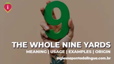 THE WHOLE NINE YARDS | meaning