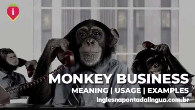 MONKEY BUSINESS | meaning