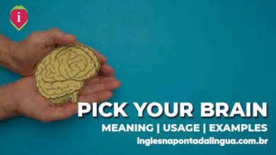 PICK YOUR BRAIN | meaning