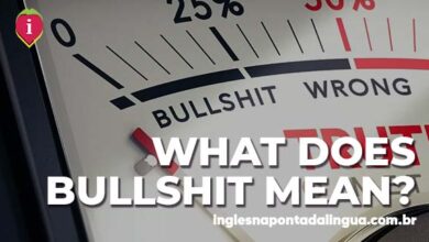 What Does BULLSHIT mean?