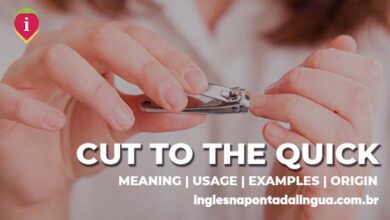 CUT TO THE QUICK | meaning