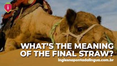 THE FINAL STRAW | meaning