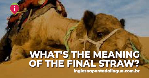 THE FINAL STRAW | meaning