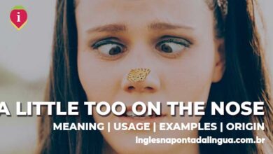 A LITTLE TOO ON THE NOSE | meaning