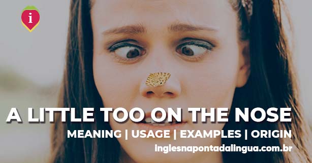 A LITTLE TOO ON THE NOSE | meaning