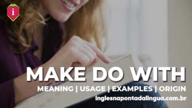 MAKE DO WITH | meaning