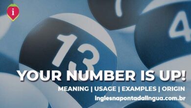 SOMEONE'S NUMBER IS UP | meaning