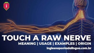 TOUCH A RAW NERVE | meaning