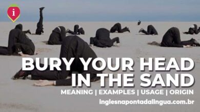 BURY YOUR HEAD IN THE SAND | meaning
