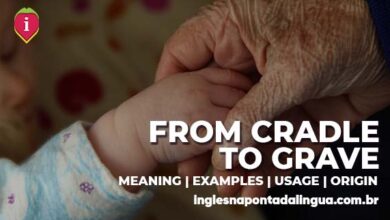 FROM CRADLE TO GRAVE | meaning