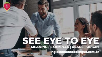 SEE EYE TO EYE | meaning