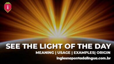 SEE THE LIGHT OF THE DAY | meaning