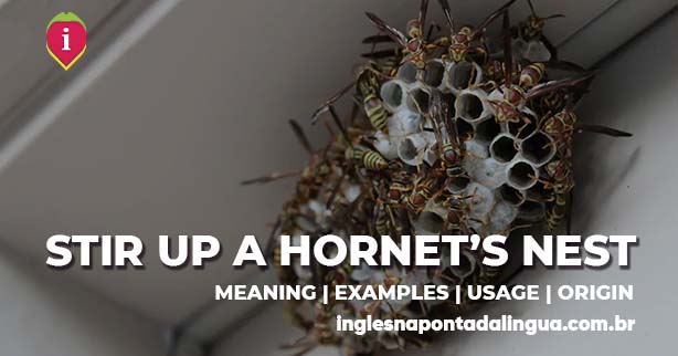 STIR UP A HORNET'S NEST | meaning