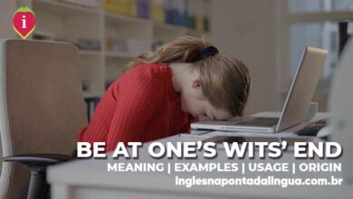 BE AT ONE'S WITS' END | meaning