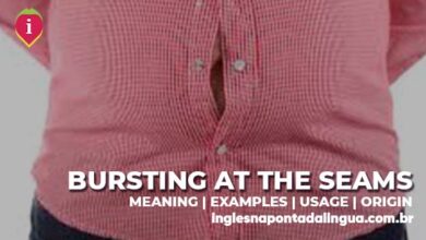 BURSTING AT THE SEAMS | meaning