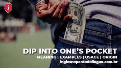 DIP INTO ONE'S POCKET | meaning