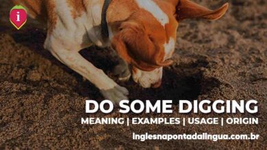 DO SOME DIGGING | meaning