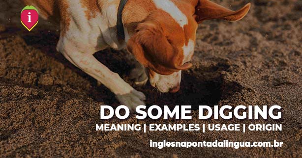 DO SOME DIGGING | meaning
