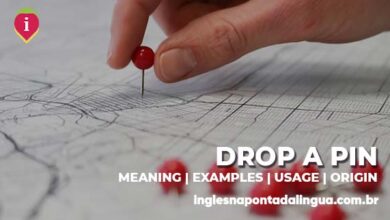 DROP A PIN | meaning
