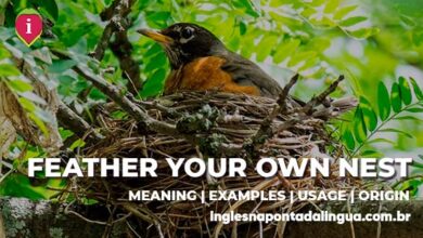 FEATHER YOUR OWN NEST | meaning