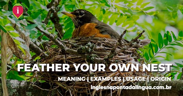 FEATHER YOUR OWN NEST | meaning