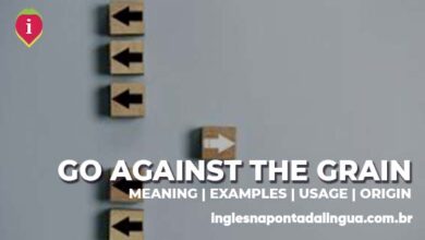 GO AGAINST THE GRAIN | meaning