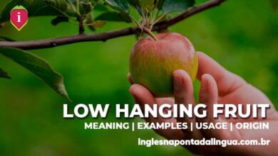 LOW-HANGING FRUIT | meaning