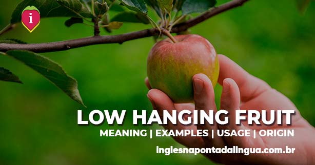LOW-HANGING FRUIT | meaning