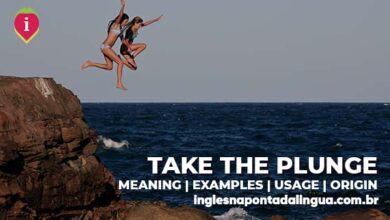 TAKE THE PLUNGE | meaning