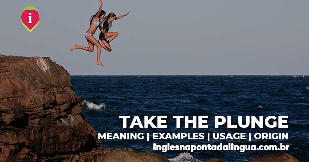 TAKE THE PLUNGE | meaning