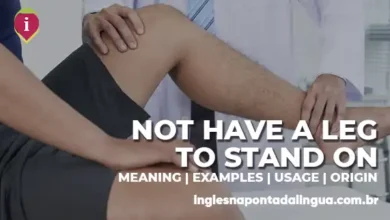 NOT HAVE A LEG TO STAND ON | meaning