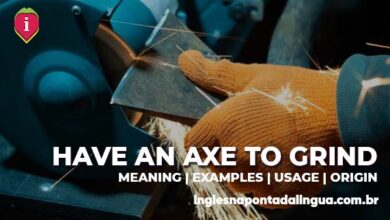 HAVE AN AXE TO GRIND | meaning